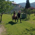 phoca_thumb_m_ponk 20 Fotogalerie